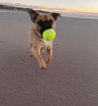 Lovely Coastal House In The Western Lake District Minimum 3 Night * St Bees