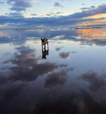 Lovely Coastal House In The Western Lake District Minimum 3 Night Feriehus